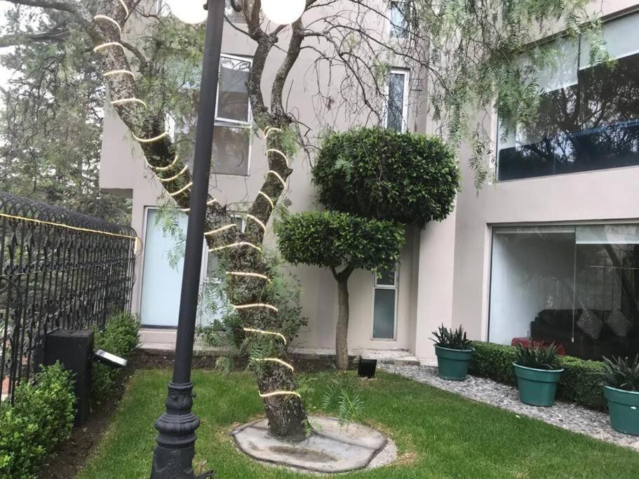 Hermoso Departamento En Bosques De Las Lomas Dos Habitaciones Città del Messico Esterno foto